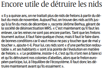 frelons asiatiques 2