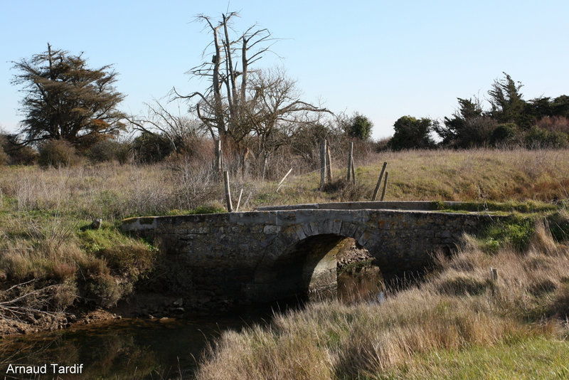 00958 Oléron Février 2022 - Le pont des Nouettes