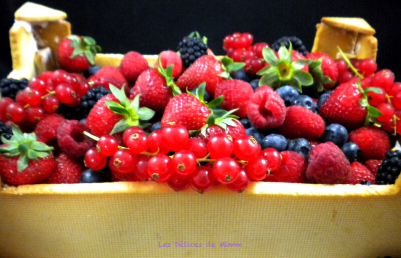 Mon gâteau Cagette de fruits 4