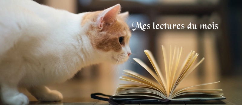 Bilan Lecture MJ