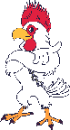 poules-09