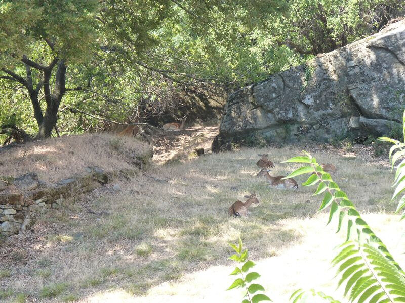 prieuré-Grandmont_05-08-2019(24)