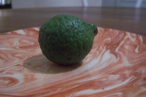 brochette de thon,rougail de mangue avec sa compotée de légumes recettes plats brochette de thon,rougail de mangue avec sa compotée de légumes