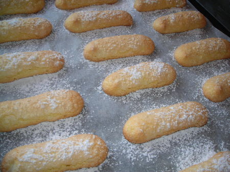 biscuits_cuiller__2_