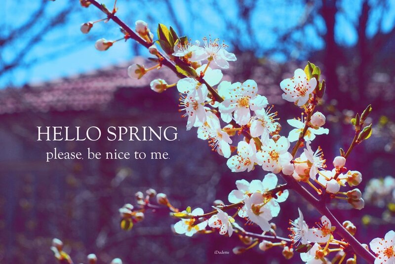 hello_spring_by_d1sabl3-d4reqy8