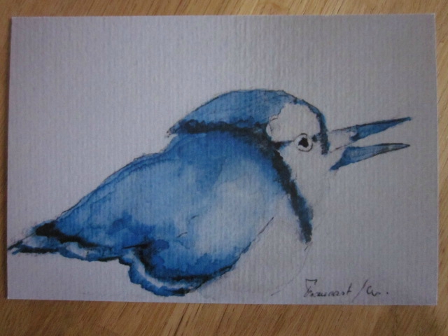 Carte Postale - La Mésange bleue (2)