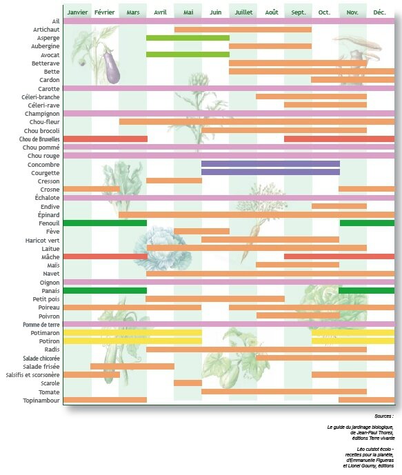 Tableau récapitulatif fruits et légumes