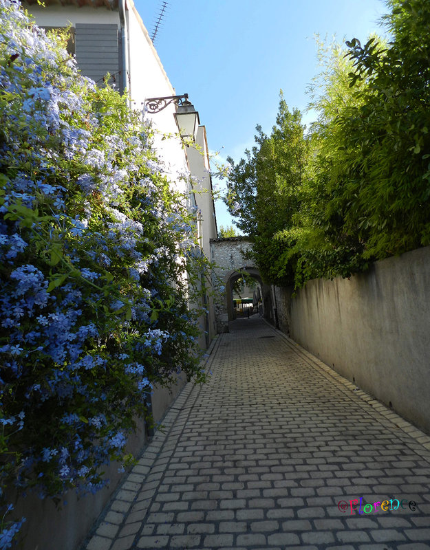 La Colle-sur-Loup