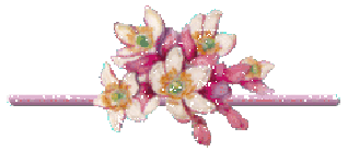 Gif barre scintillante gros bouquet églantines roses 319 pixels