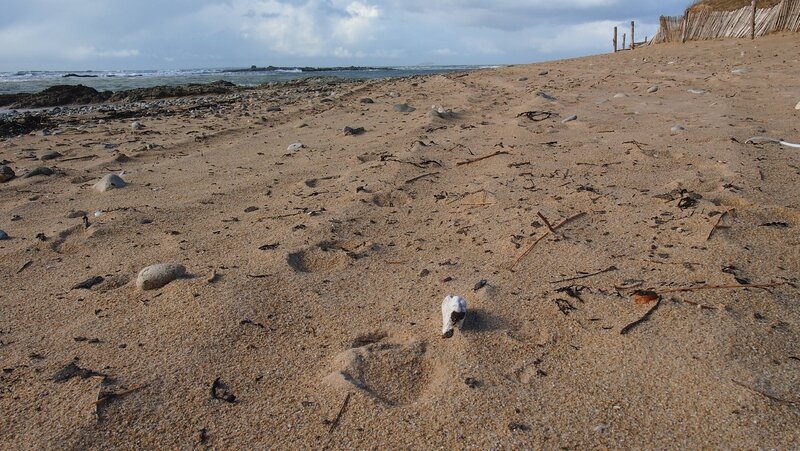 plage de Kerouriec poluée