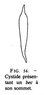 Joss Fig 56