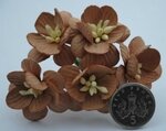 coffee-brown-mulberry-paper-cherry-blossom-2cm-1552-p