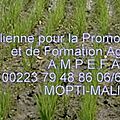 PRESENTATION DE L' AGENCE MALIENNE POUR LA <b>PROMOTION</b>, D'EXPERTISE ET DE FORMATION AGRICOLE A.M.P.E.F.A