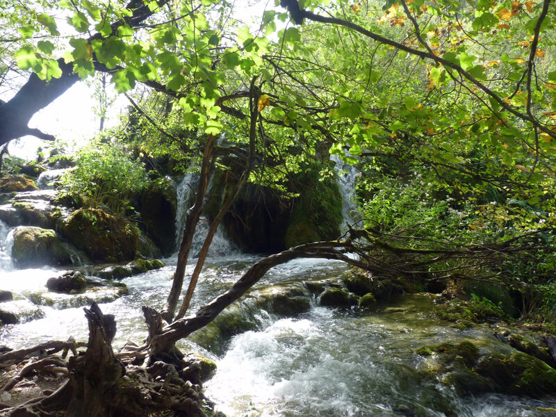 P1040708 - Copie