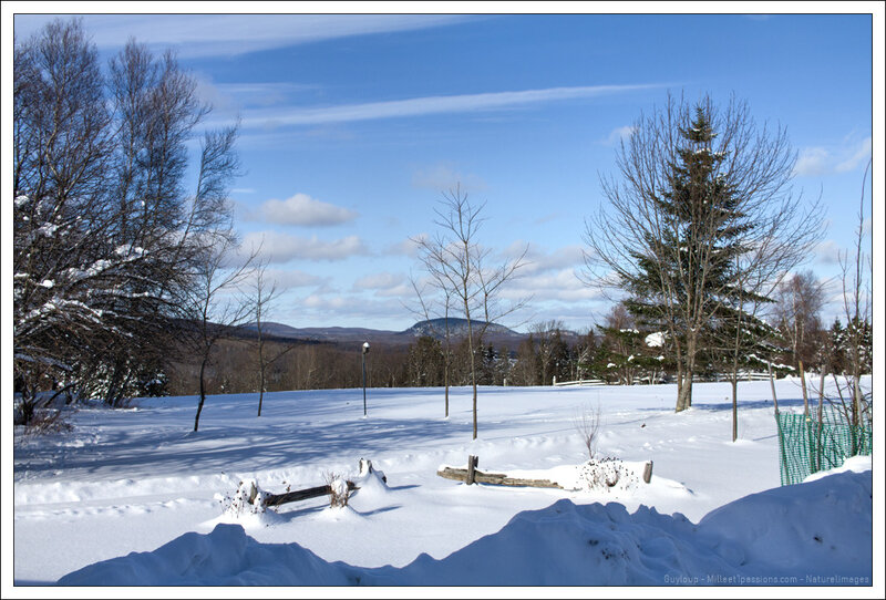 IMG_0897-1-3