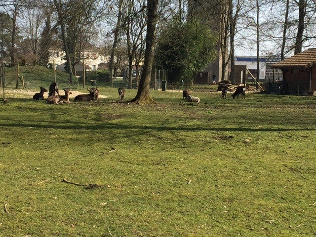 tavaux aire de jeux parc des vernaux 8