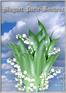 muguet_brins