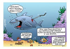 Requin Emile