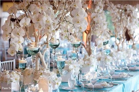 tiffany_blue_manzanita_phalaenopsis_coronet_hotel_del_coronado_wedding