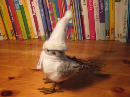 Photo 65890