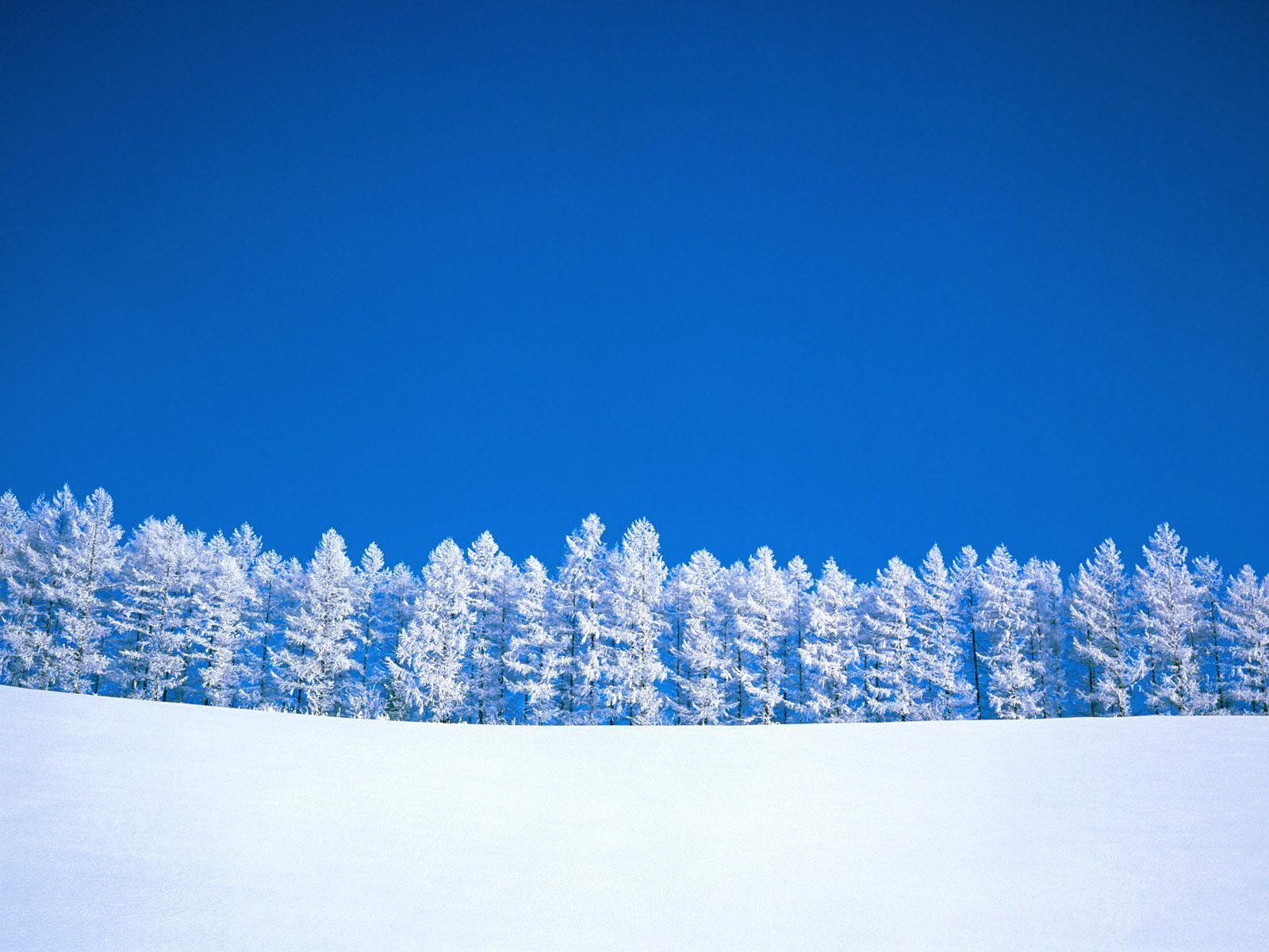 Winter_Snow