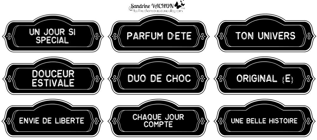 Sandrine VACHON planche 24