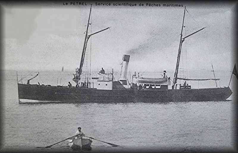 4-Petrel-1919