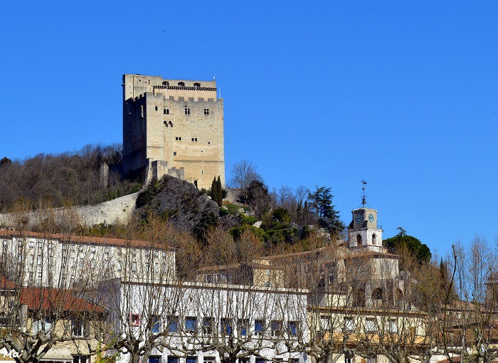 190323_Crest_3