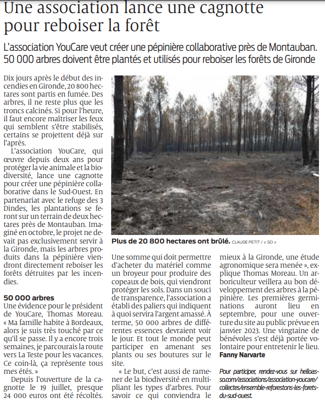 2022 07 25 SO une association lance une cagnotte pour reboiser la forêt
