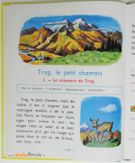 LE-BEAU-LIVRE-DE-POUCET-Charlot-Géron-Rossignol-7-muluBrok