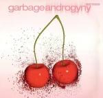 2001-androgyny-vinyle