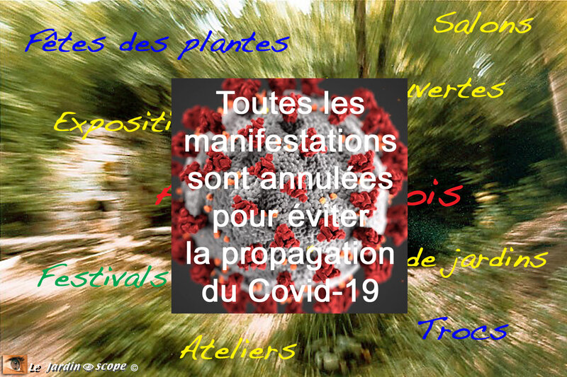Evenements-annulés