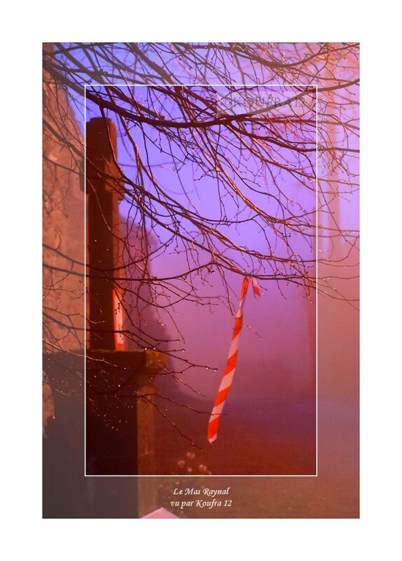 Photos JMP©Koufra 12 - Cornus - Mas Raynal - 01122019 - 0019