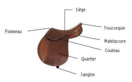 Selle1