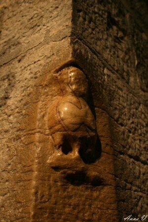 lachouette3