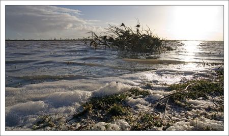 Aiguillon_inondation_ecume_280210