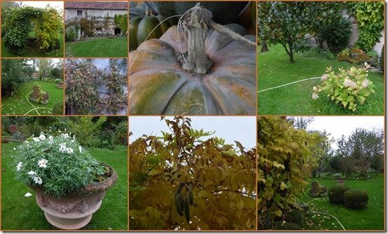 jardin 27 octobre 20191