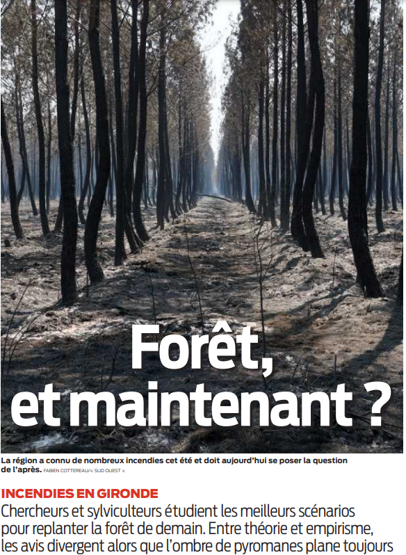 2022 09 17 SO Forêt et maintenant