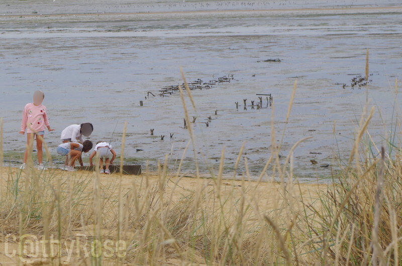 && plage Fort Royer (5)