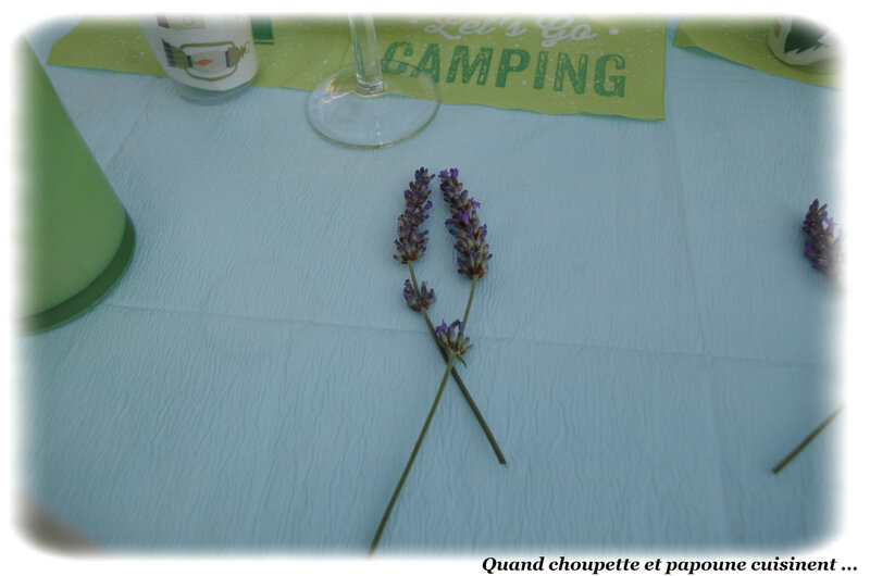 Ma table du camping-9893