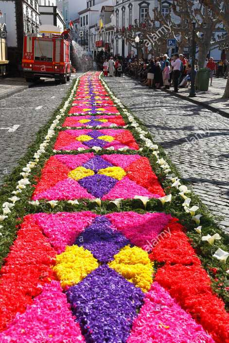 tapiscopeauxboiscolores-acores-portugal