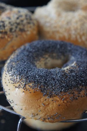 bagels 7 bis