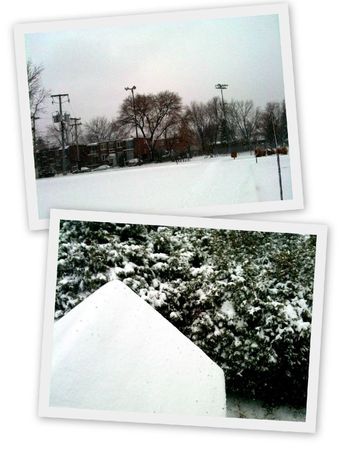 1ère neige 20113