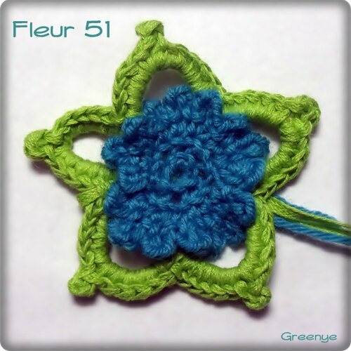 Fleur 51