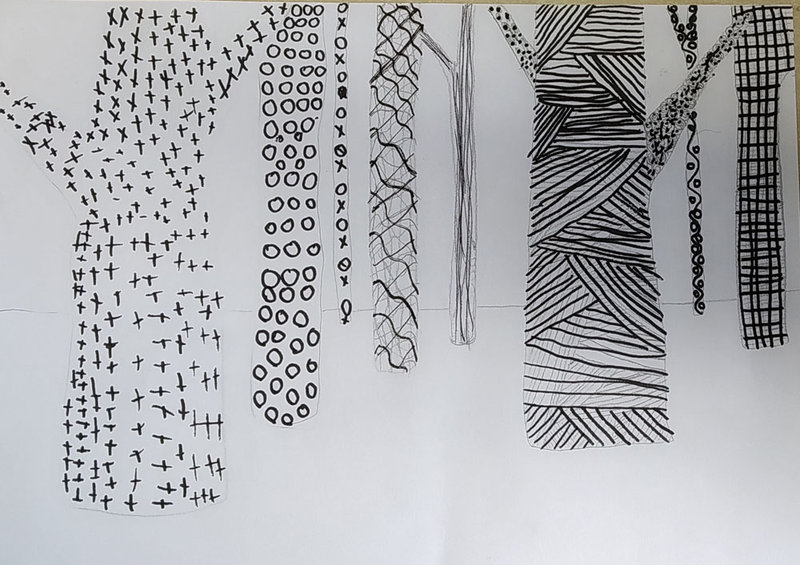 forêt graphismes (12)