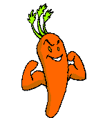 carotte 03