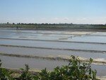 Noirmoutier_week_end_fin_mars_07_et_dessins_sable_st_j