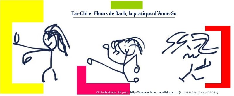 Tai-Chi et Fleurs de Bach selon Anne-So ; marionfleurs