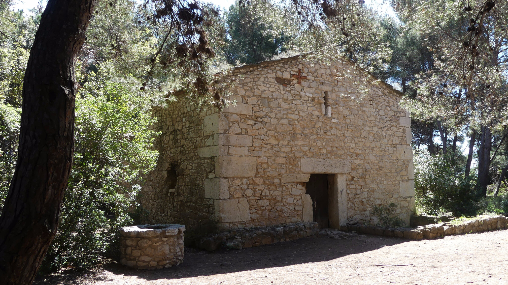 P1010238 (2)