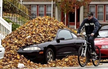 voiture_feuilles_mortes